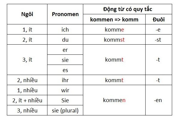 Cách chia động từ có quy tắc thì hiện tại trong tiếng Đức