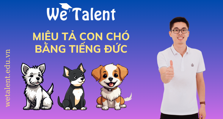 Miêu tả con chó bằng tiếng Đức