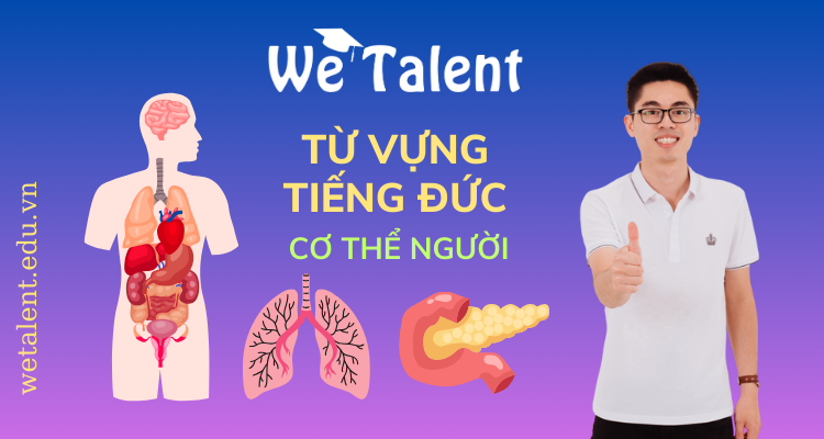 Từ vựng tiếng Đức về cơ thể người