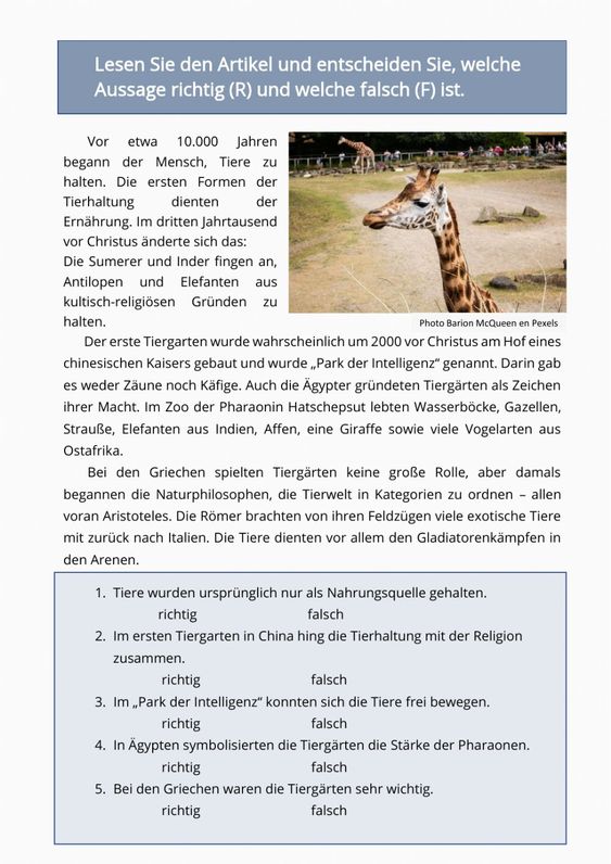 Từ vựng tiếng Đức chủ đề động vật (Tiere auf Deutsch)