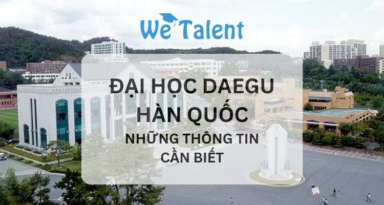 Đại học Daegu trường đại học top 1 Daegu