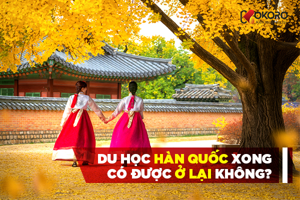 Du học Hàn Quốc xong có được ở lại không?