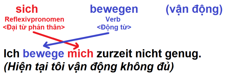 Động từ phản thân tiếng Đức - Reflexive Verben