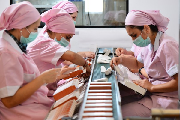 Visa 18A Đức: Điều kiện, chi phí và thủ tục 2026